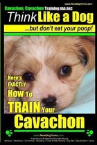 Cavachon, Cavachon Training AAA Akc - Think Like a Dog, But Don't Eat Your Poop!