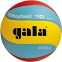 Gala Volleybal licht jongvolwassenen volleybal.