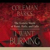 I Want Burning: The Ecstatic World of Rumi, Hafiz, and Lalla