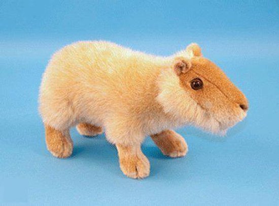 Capybara knuffel | bol.com