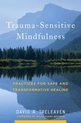 Trauma-Sensitive Mindfulness - Practices for Safe and Transformative Healing