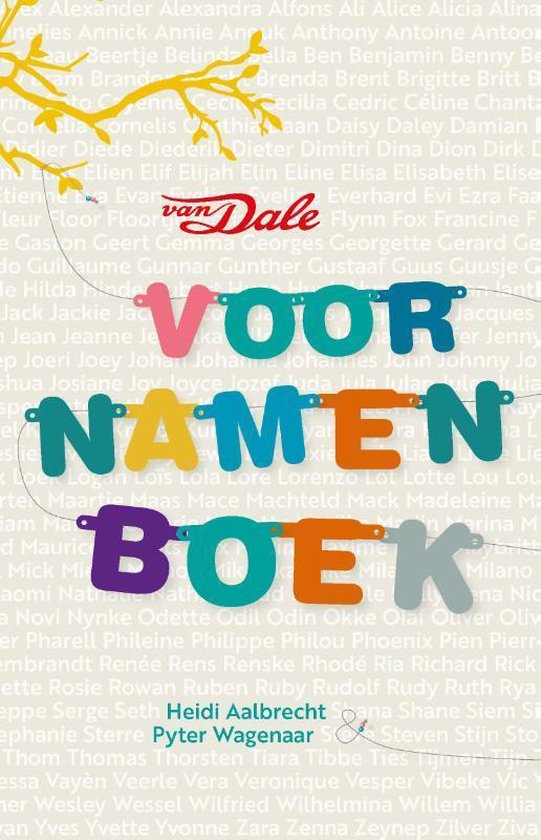 Boek cover Van Dale Voornamenboek van Heidi Aalbrecht (Paperback)