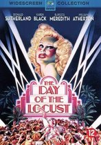 Day Of The Locust (D)