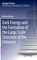 Dark Energy and the Formation of the Large Scale Structure of the Universe