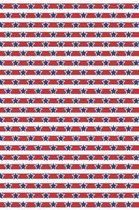 Patriotic Pattern - United States Of America 117