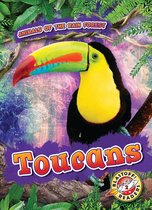 Animals of the Rain Forest - Toucans