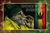 Wandbord - Smoke Weed Everyday -20x30cm- Gebolde Duitse Kwaliteit