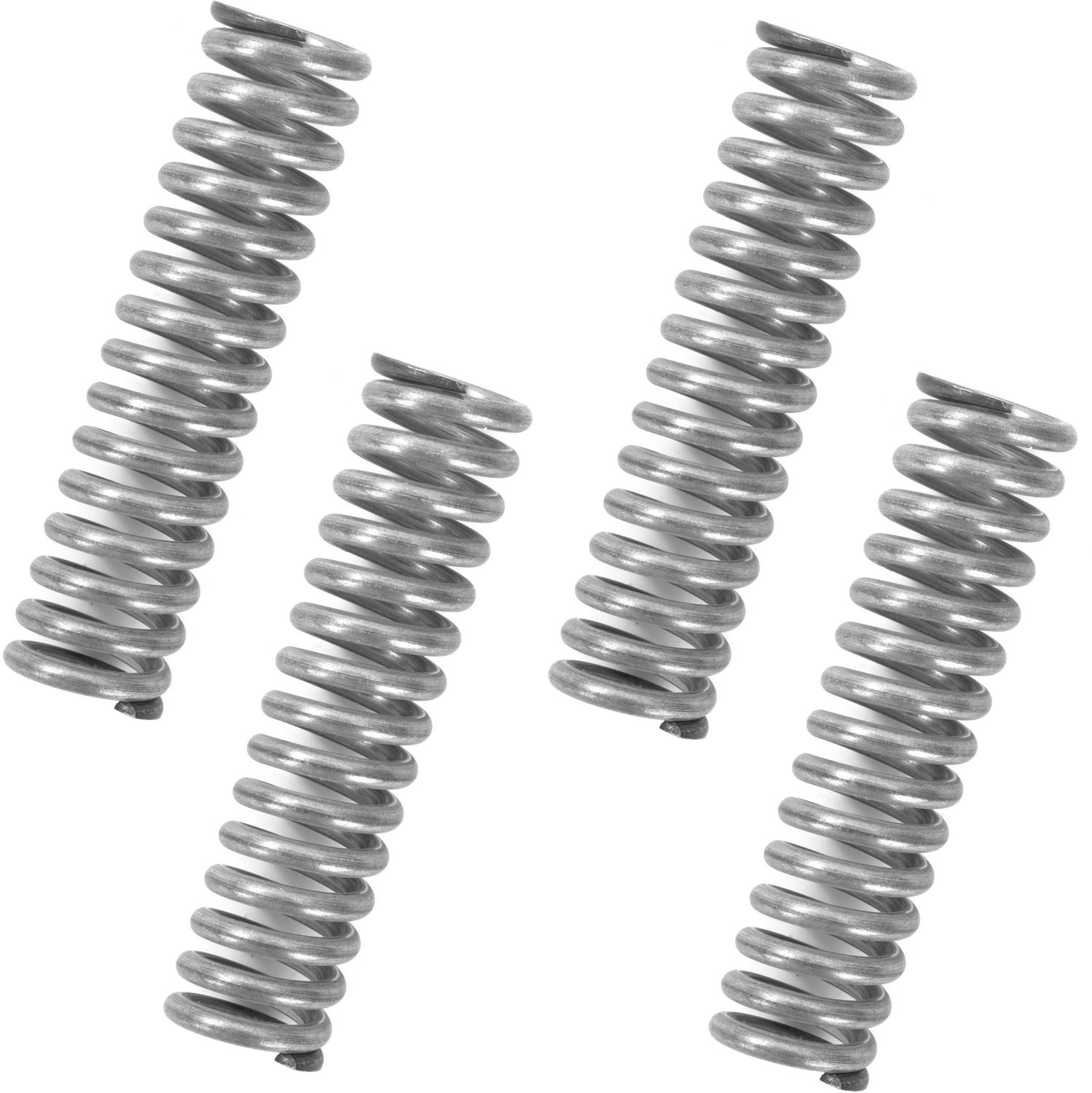 Compressieveren van RVS, 80 mm, Set van 4 Stuks