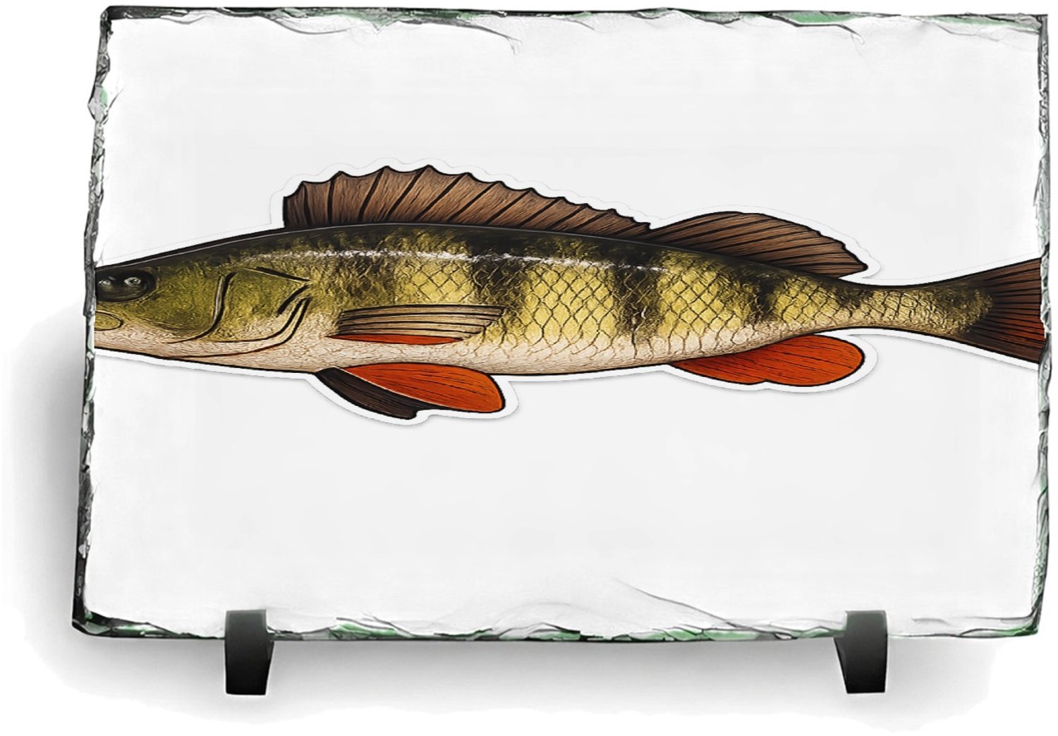 Mr Cadeautjes Leisteen rechthoek 14 x 19,5 - design Grafische salamander op rotsrand | cadeau Wit