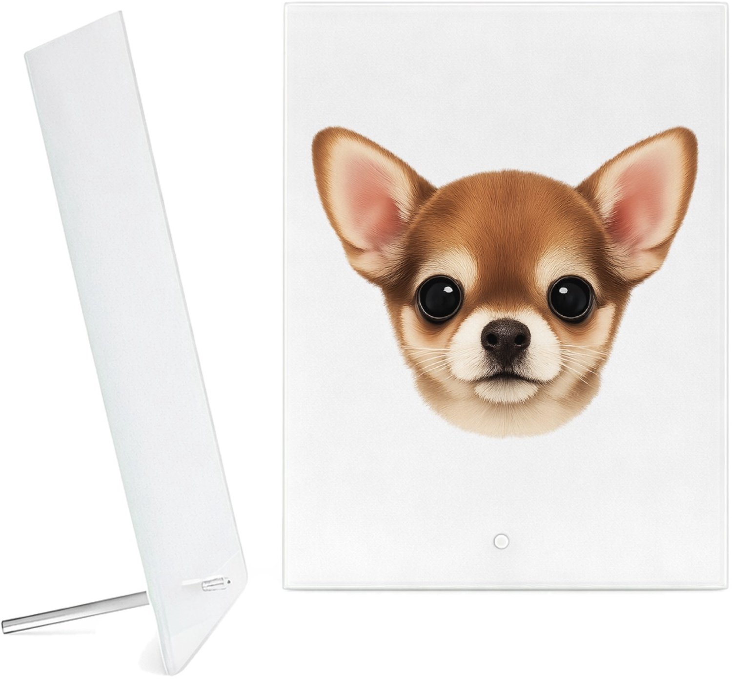 Mr Cadeautjes Glazen fotopaneel Een klein, centraal portret van een nieuwsgierige kat met ro - 15 x 20 cm, staand - glas, decoratie, wanddecoratie | cadeau Wit
