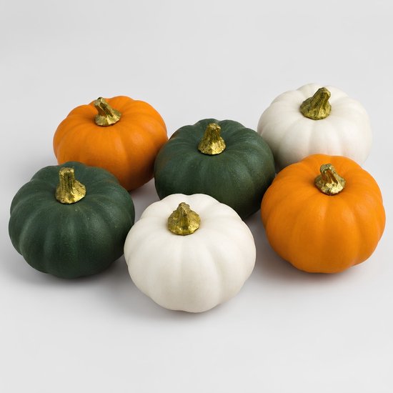 Zes decoratieve pompoenen in oranje, groen en wit met glanzende gouden steeltjes op een witte achtergrond.