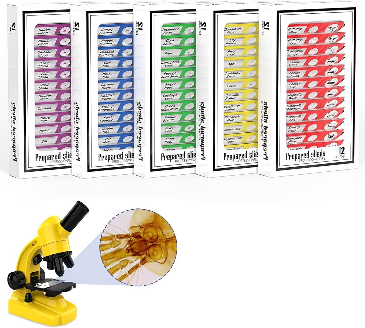 60 stuks microscoopdia's met monsters voor kinderen - voor kinderen voorbereide microscoopdia's voor microscoopcamera, dieren, insecten, planten, bloemen, monsters