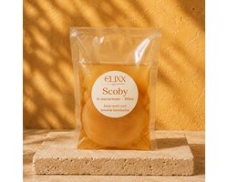 Biologische Kombucha Scoby - Levende Cultuur voor Thuisbrouwerij