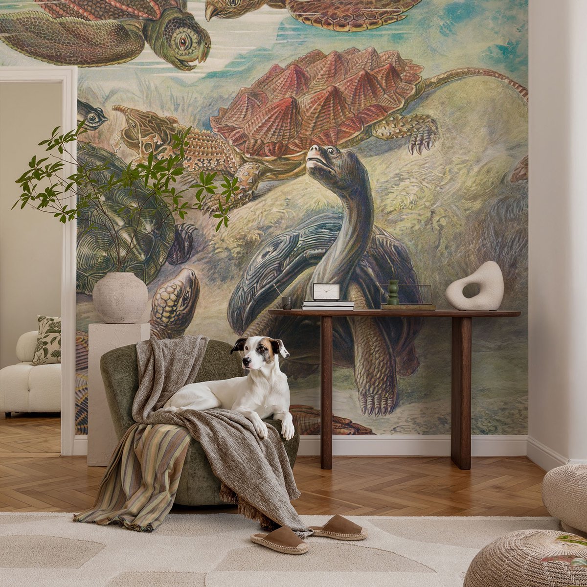Coloray Vliesbehang - Groente Snellijm Behang - 104x70 cm - Schildpadfauna Muurschildering - Slaapkamer behang Dieren - Fotobehang Vlies - Slaapkamer behang