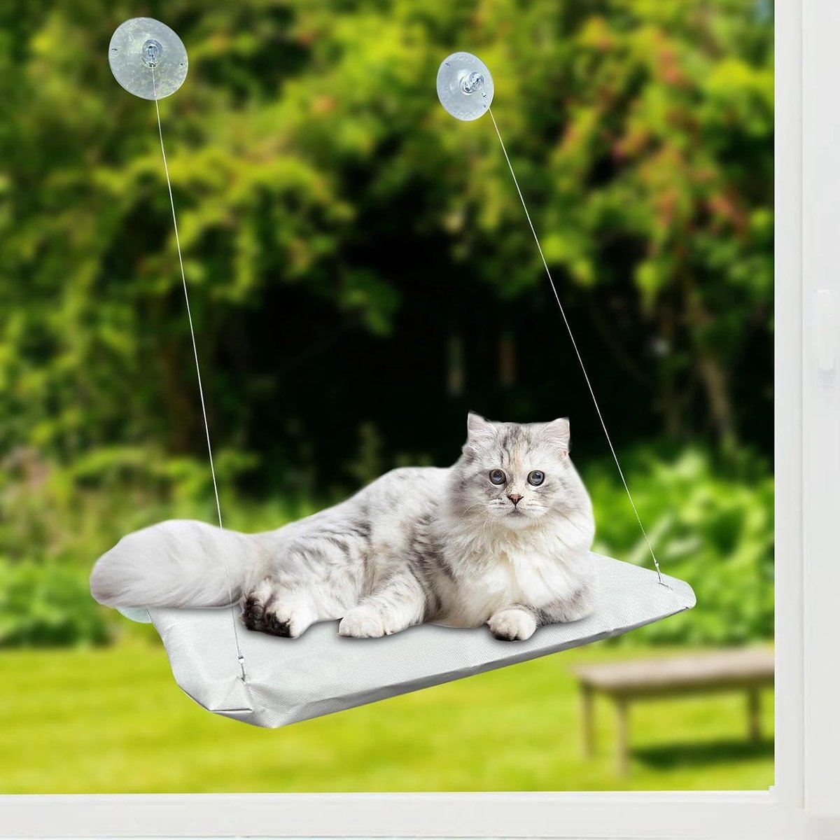 Kattenbed met 4 grote sterke zuignappen, wit