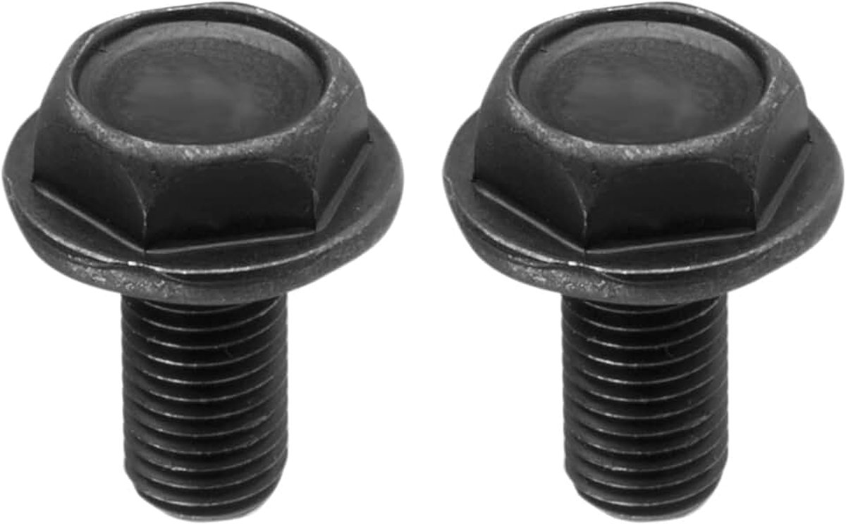 Krukspanschroeven voor crankstel, M8 x 100, 2 stuks