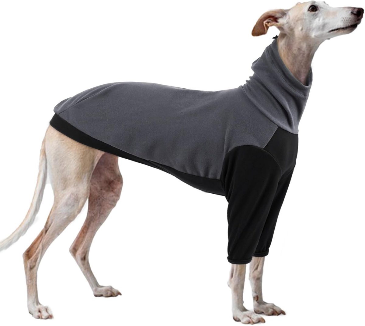 windhond trui fleece, Whippet jas fleece Italiaanse windhond hondenkleding winter warme Whippet trui (grijs, XS)