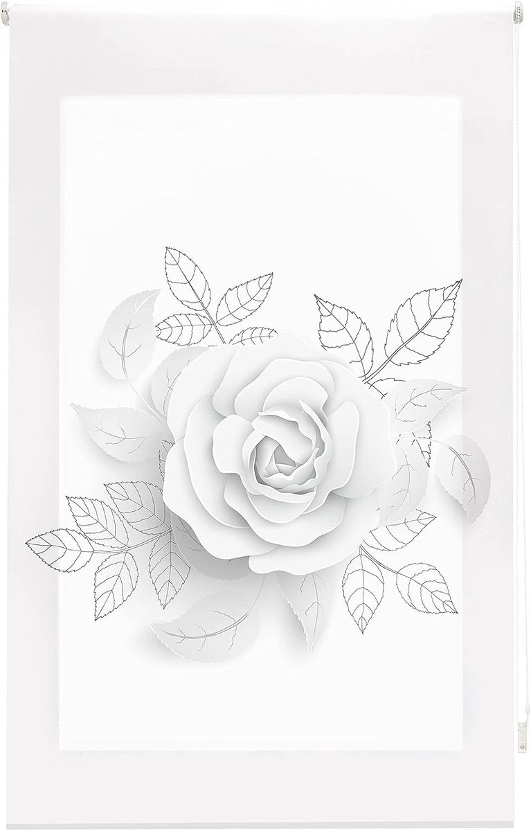Transparant rolgordijn met digitale print Flores - roze, rolgordijn 110 x 180 cm (B x H) stofgrootte 107 x 175 cm, digitaal bedrukt rolgordijn