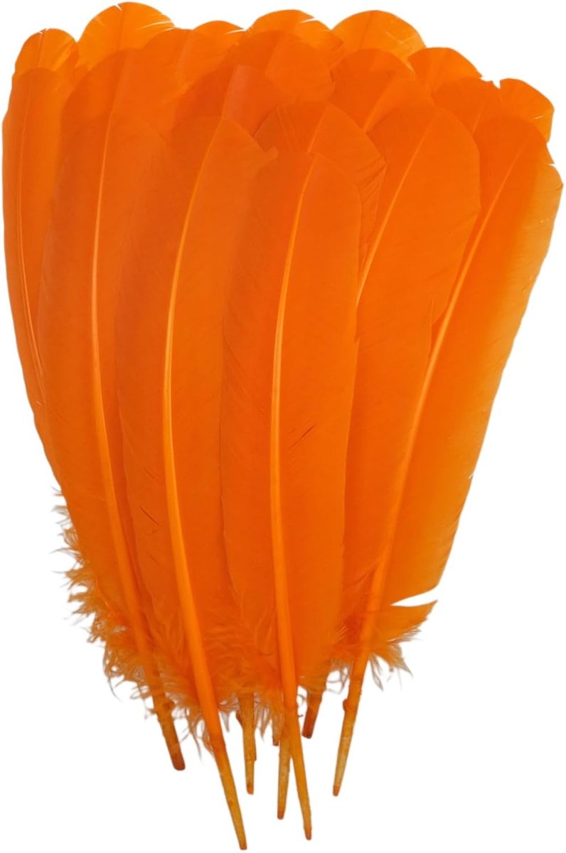 Veren 25-30 cm, 24 stuks veren bulk voor knutselen, doe-het-zelf natuurlijke grote verenambachten voor decoraties (oranje)