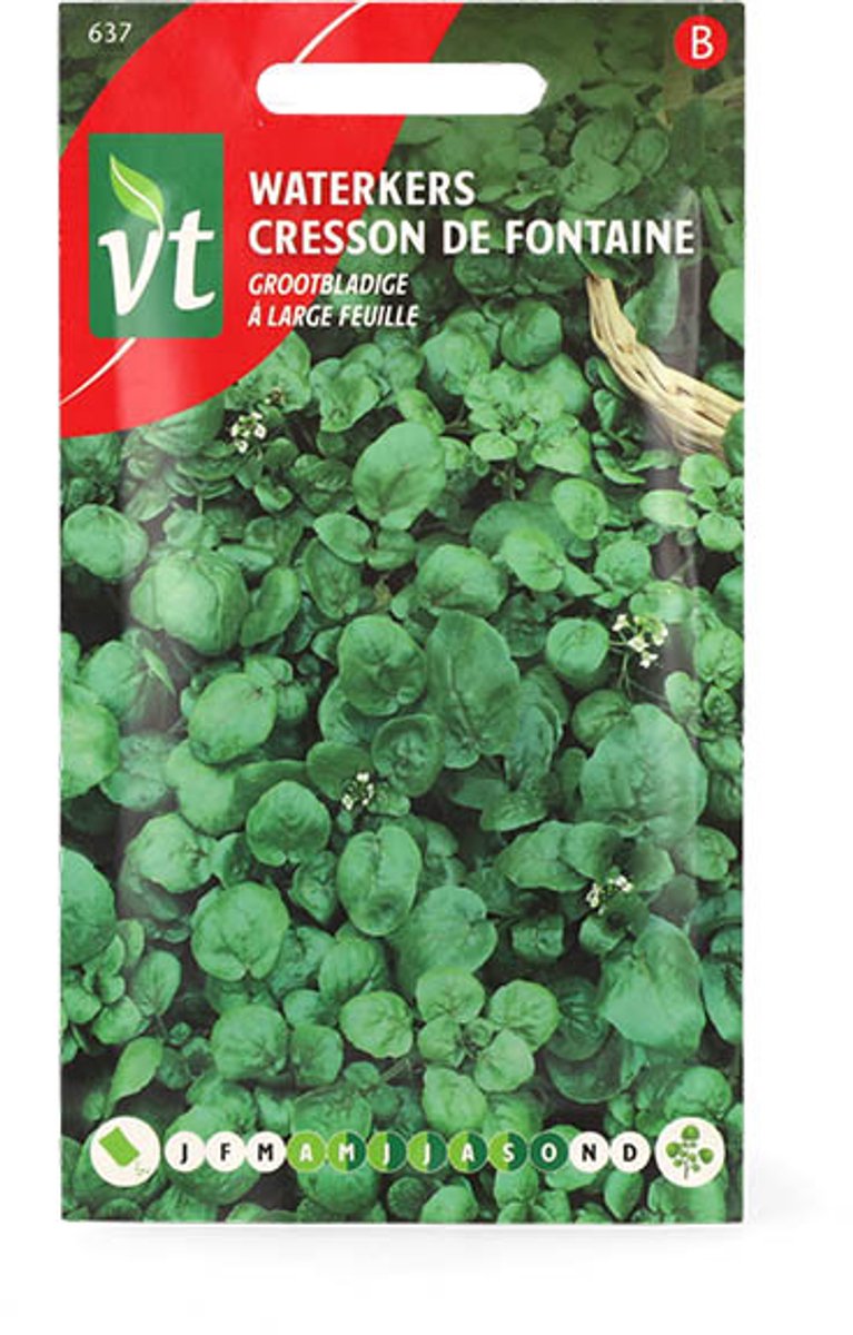 Waterkers grootbladige - à large feuille