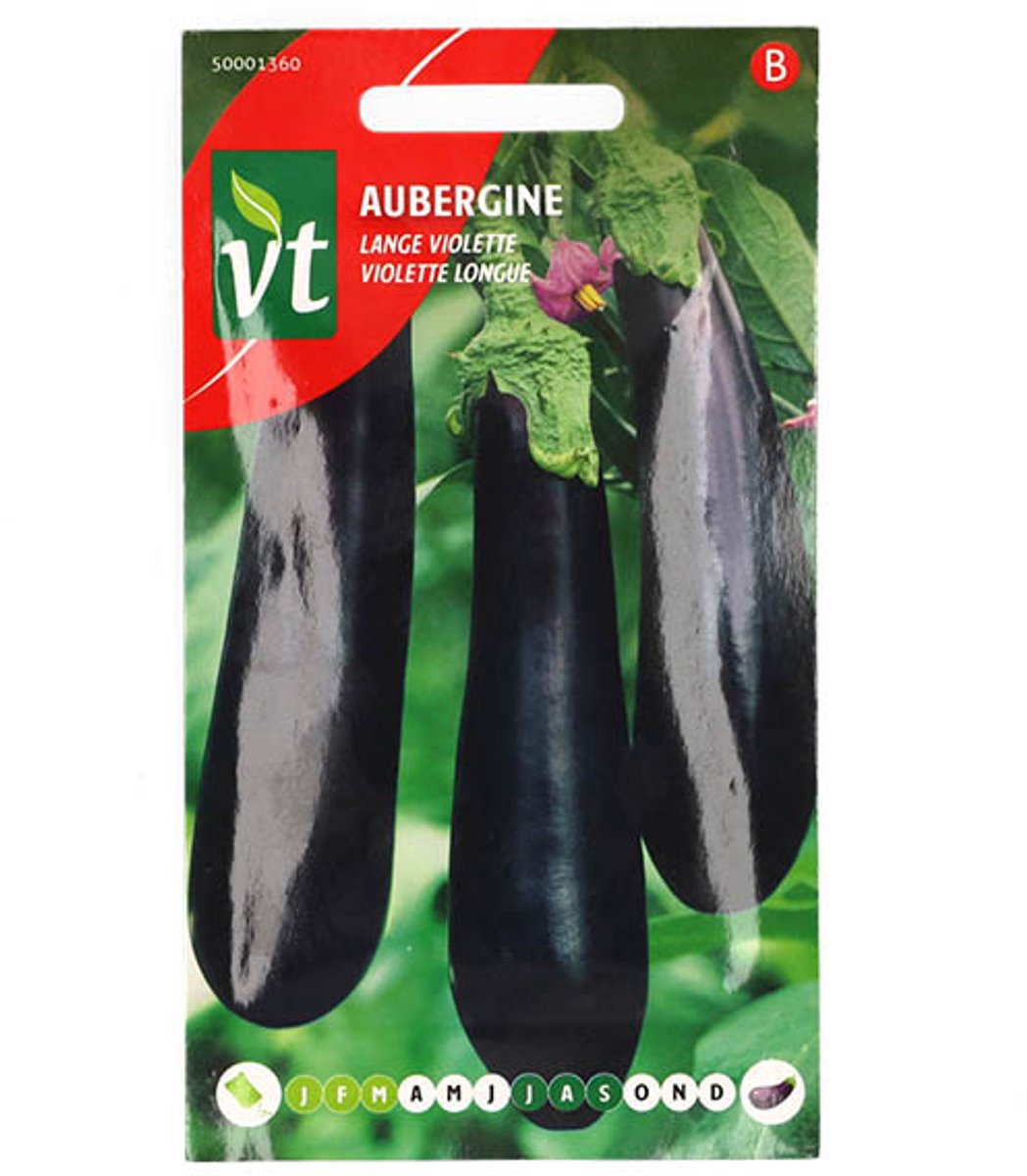 Aubergine lange violette - violette longue
