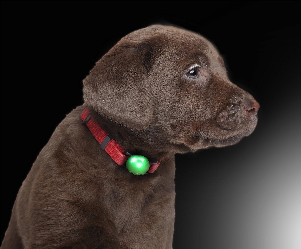 Silicone lichtgevende hanger lichtgevende halsband Led hondenhalsband in groen van het merk PRECORN