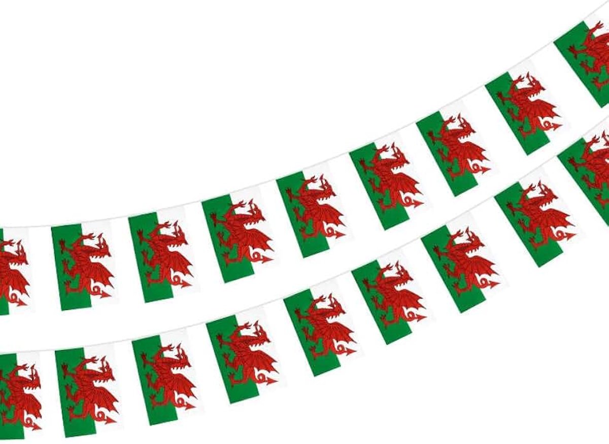 Wales vlag, 40 Stuks Wales Vlag Wales Garland 11.4m Wales Vlag Vlag 14 x 21 cm voor Bar Decoraties