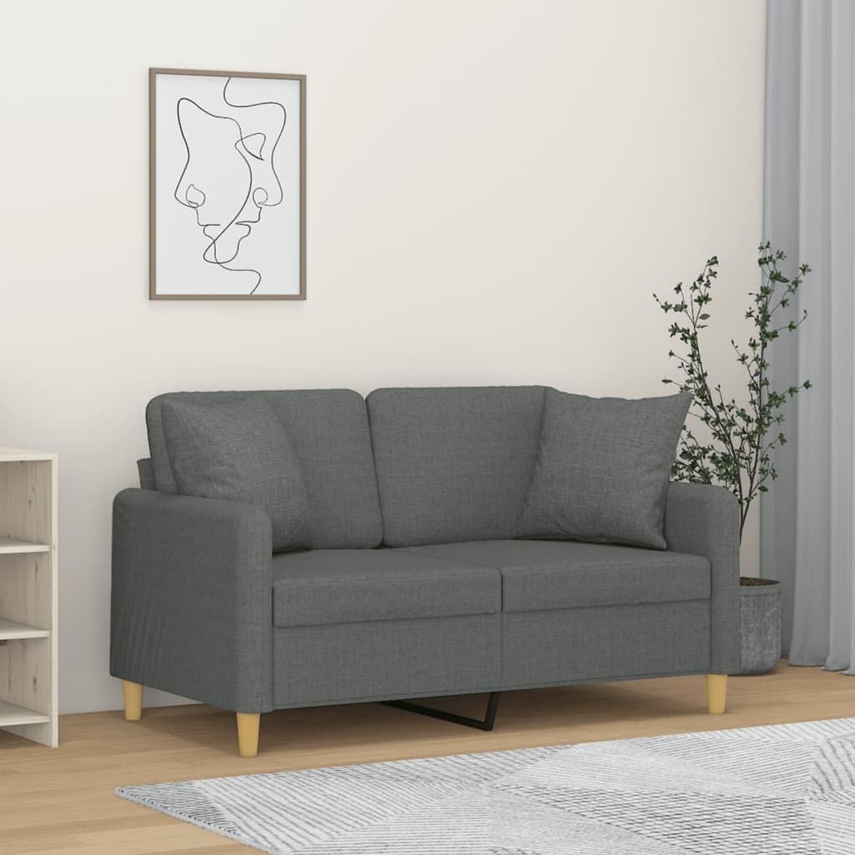 2-zitsbank met sierkussen in donkergrijs, 120 cm breed, duurzame stof en robuust metalen frame voor stabiliteit