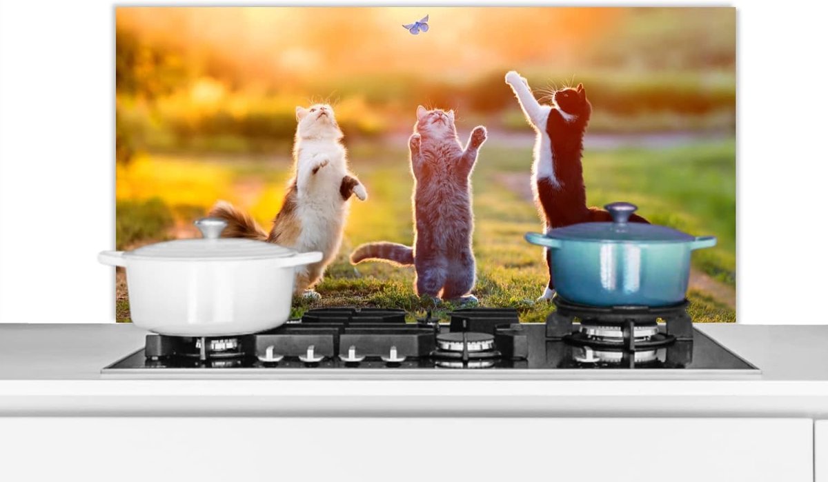 Spatscherm Keuken - 100x50 cm - Katten - Vlinder - Zonsondergang - Gras - Natuur