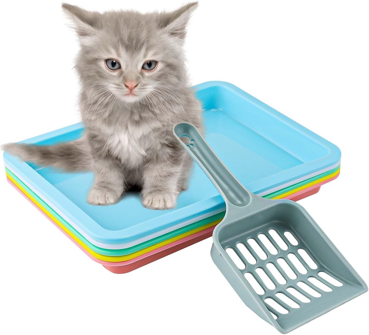 Set van 5 Kleine Kattenbakken 24.5 x 18.5 x 2.5 cm - Plastic Litter Tray, Draagbare Afvalbak voor Binnenkatten, Ideaal voor Kitten en Kleine Rassen