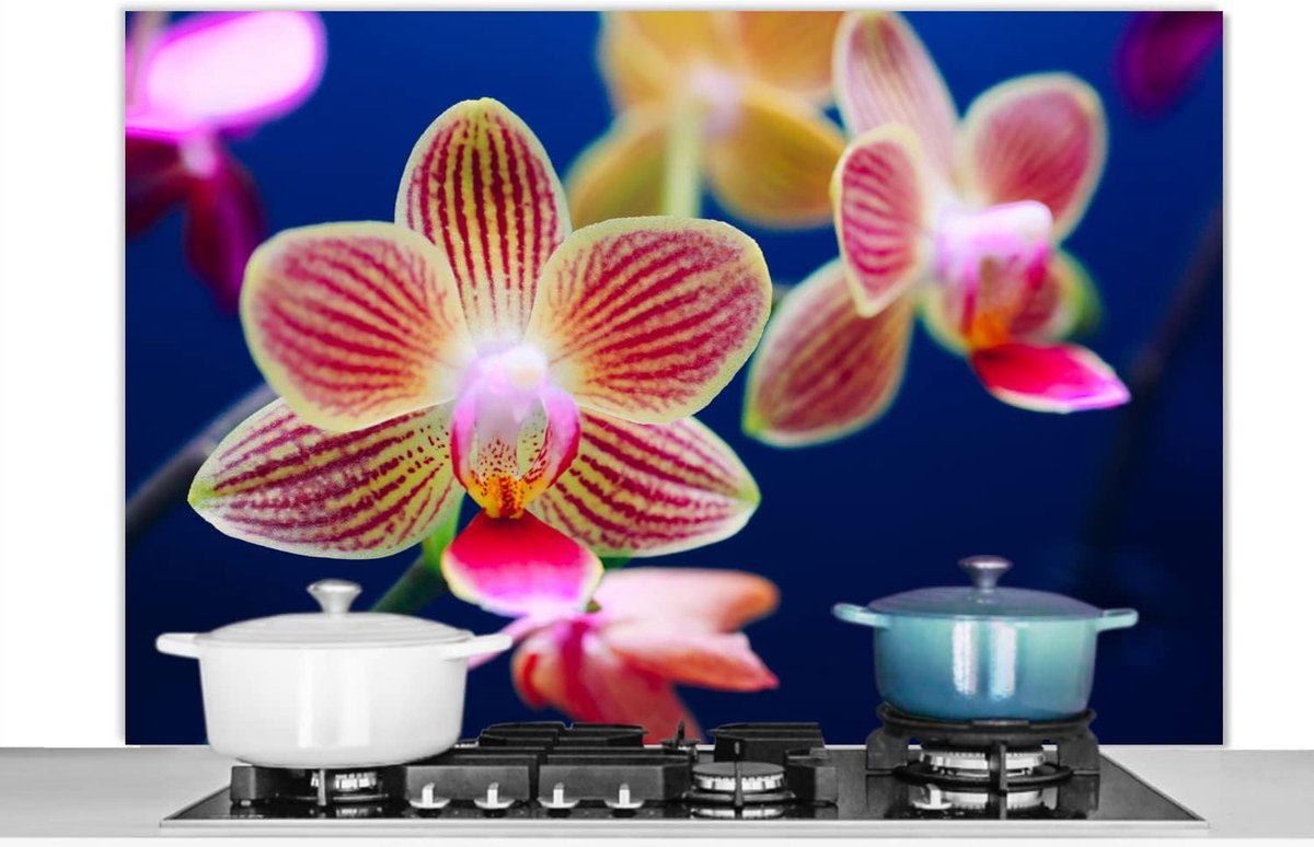 Spatscherm Keuken - 120x80 cm - Tegen Orchid