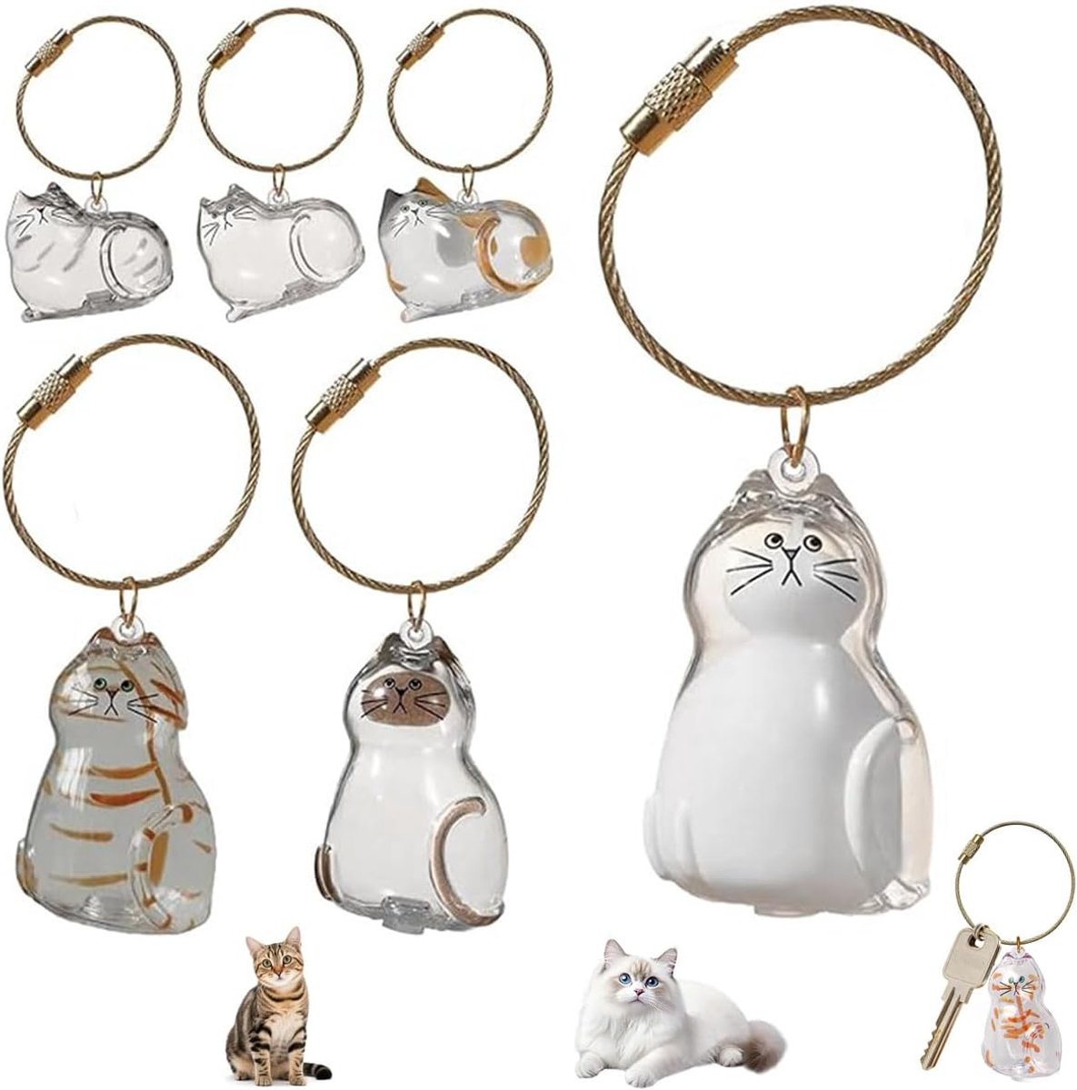 Sleutelhangers voor katten, 6 stuks, sleutelhanger voor haar voor huisdieren, kattenbont, sleutelhanger, herinneringscadeau voor katten