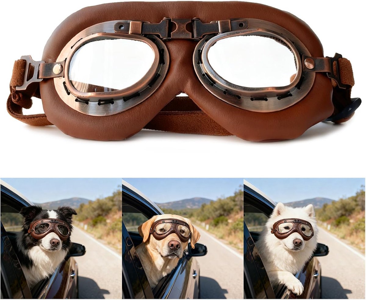Hondenzonnebril (Transparant) voor Middelgrote Honden - Winddicht & Verstelbaar - Opvouwbare Veiligheidsbril voor Motor, Auto & Outdoor