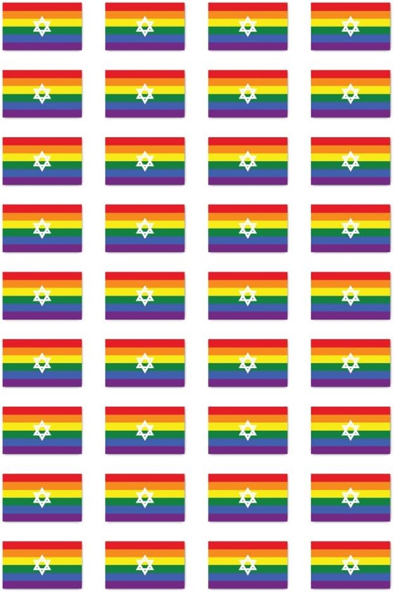 25 x 15 mm Pack van 36 vlag LGBTQ Israël LGBTQ voor auto, laptop en meer