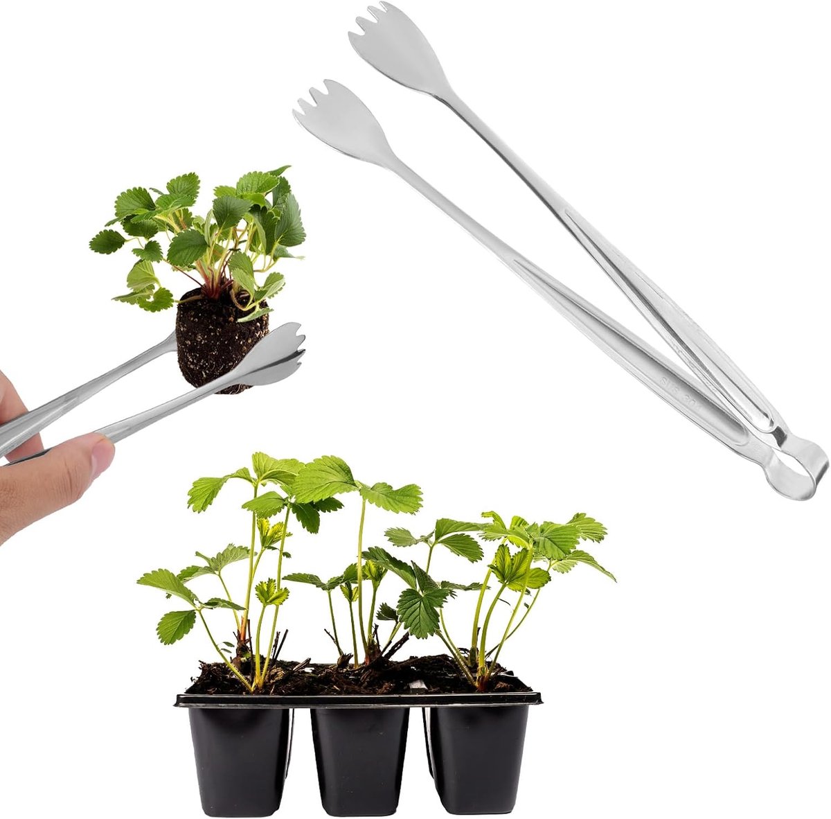 Dailygoods- Zaailingverplantingstang 20,5 cm - Roestvrij Staal - Tuinbenodigdheden - 2 Stuks - Vermindert Wortelschade - Efficiënte Transplantatie - P