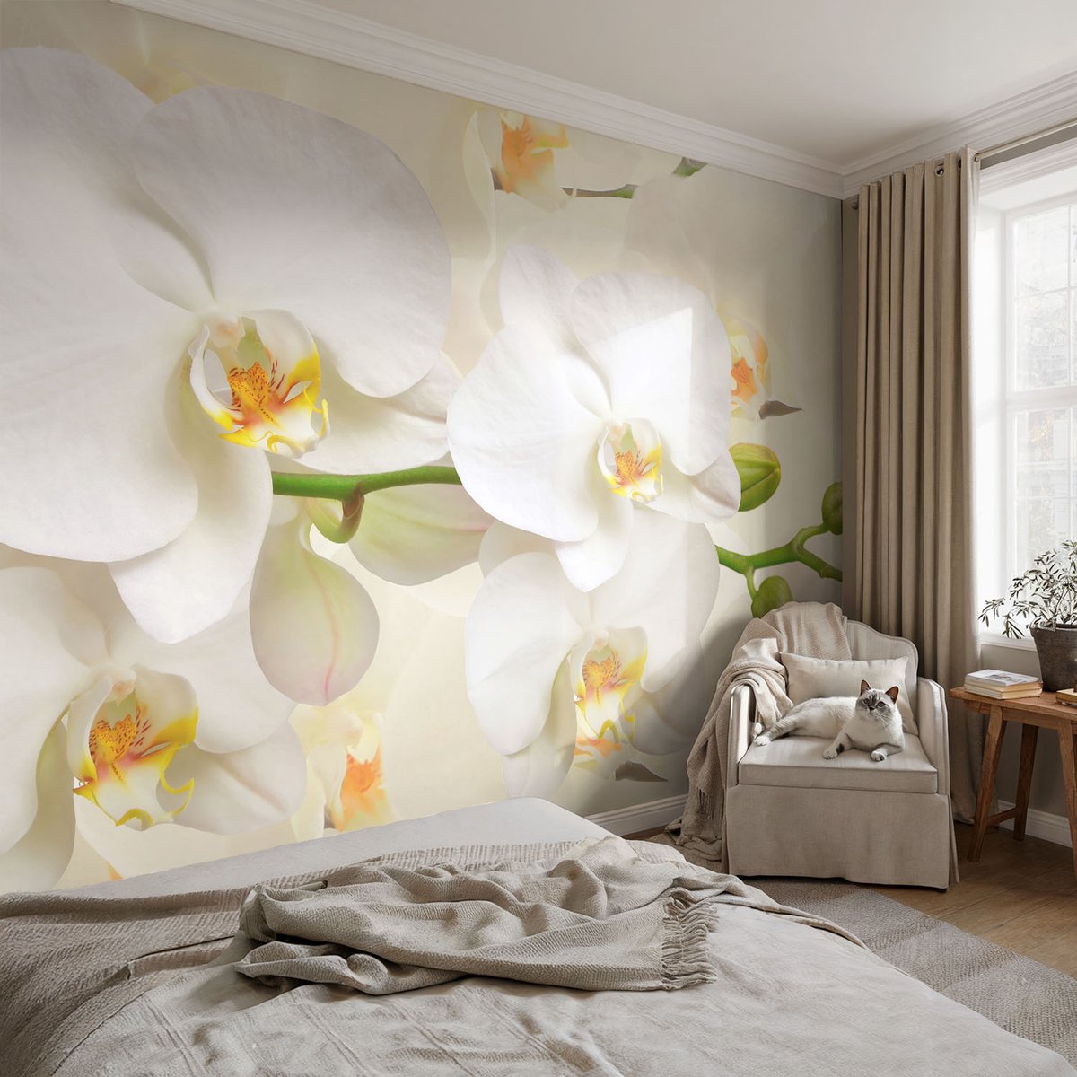 Coloray Vliesbehang - Wit Snellijm Behang - 152x104 cm - Bloemenpracht Fotobehang Vlies - Hal behang Bloemen En Planten - Muurschildering - Woonkamer behang