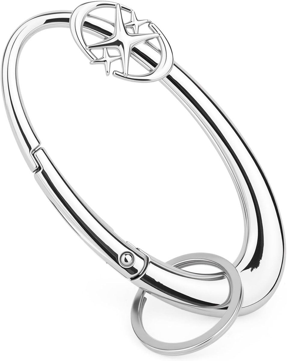 Y2K Metalen Karabijnhaak, Robuuste Glanzende Ster Karabijnhaak Riemlus Accessoire Mat Chrome Sleutelclip voor Sleutels Tassen en Portemonnees (Zilver)