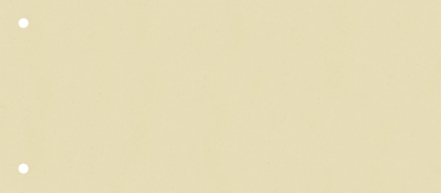 Baier & Schneider Tabbladen 105x240mm, 190g/m², Geperforeerd, Crème