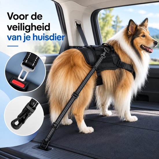 Hond in zwarte tuig bevestigd met veiligheidsgordel in kofferbak van auto.