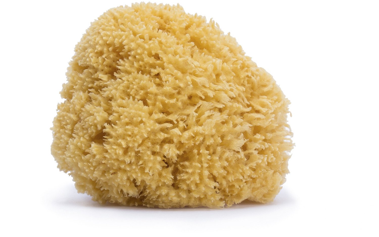 Suavinex Natuurlijke Badspons voor Baby - Zachte Spons voor de Gevoelige Babyhuid - Voor het Dagelijkse Bad - Vanaf de Geboorte - Beige