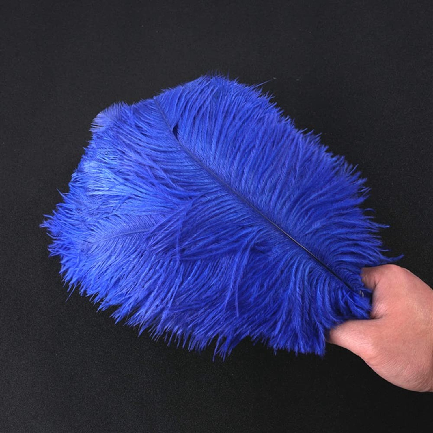Struisvogelveren Donkerblauw 10 Stuks 25-30 cm voor Decoratie