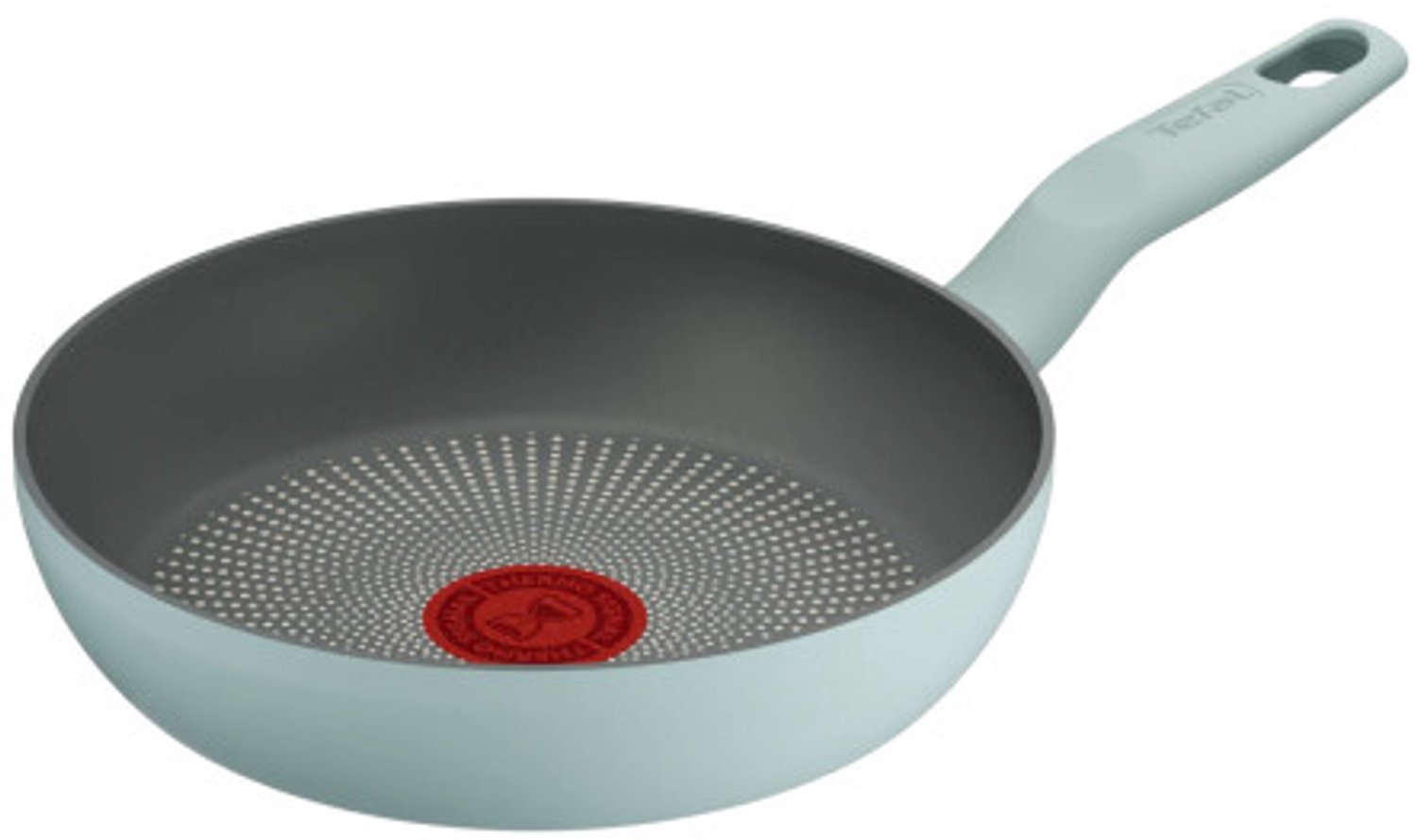 Tefal Halo Eucalyptus Koekenpan 20 cm – TITANIUM - G0160202