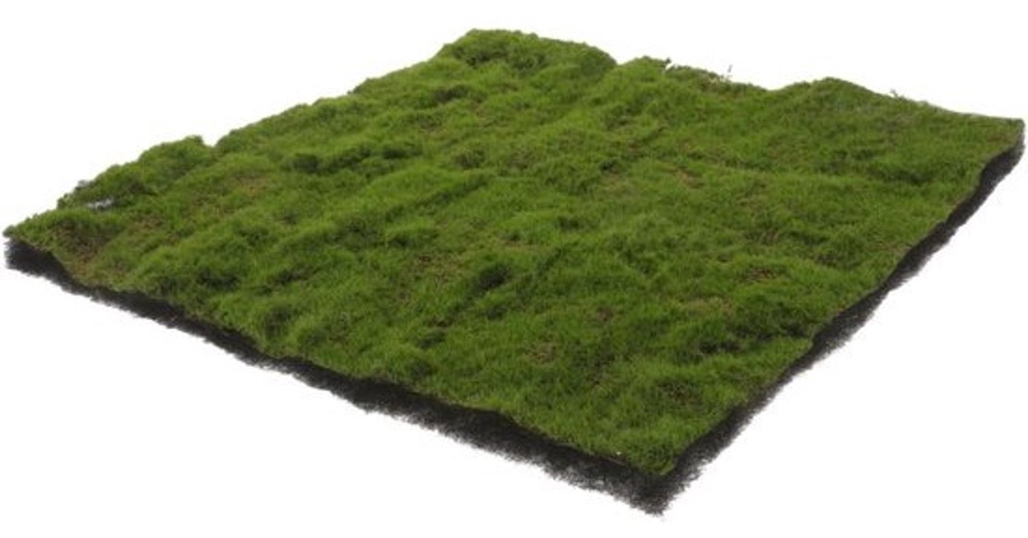 Kunstgrasmat - Nepgras - Voor decoratieprojecten - Niet snoeien - 33 x 33 cm - Groen