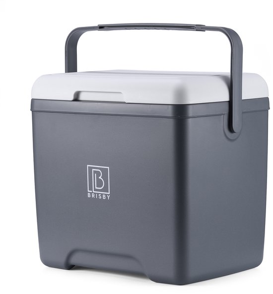 Brisby Koelbox - Frigobox - 13L- Grijs - Tot maximaal 40 uur isolatie - Incl. 2 dikke koelelementen van 450ml - Met koelelementen vergrendeld in deksel en Brisby 500ml Zwarte Dubbelwandige Thermosfles van Brisby — afbeelding 4