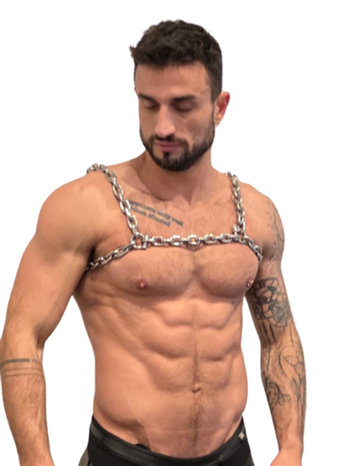 Mister b stainless steel chest harness xs