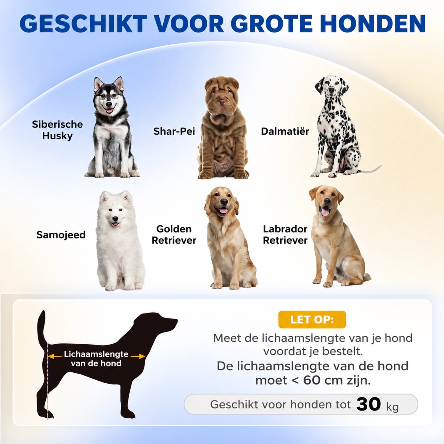 Veya Hondenmand - XL - Groot - Verhoogd - Hondenbed - Zitting 86 x 59 cm - Honden tot 30kg - Donkergrijs - Uitneembaar kussen thumbnail 6