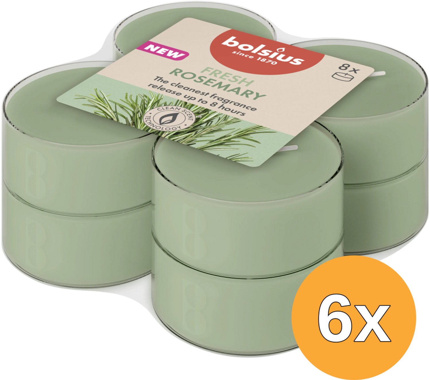 Bolsius 6x Bolsius Maxilichten clear cup 8u True Scents Rosemary (8 stuks)