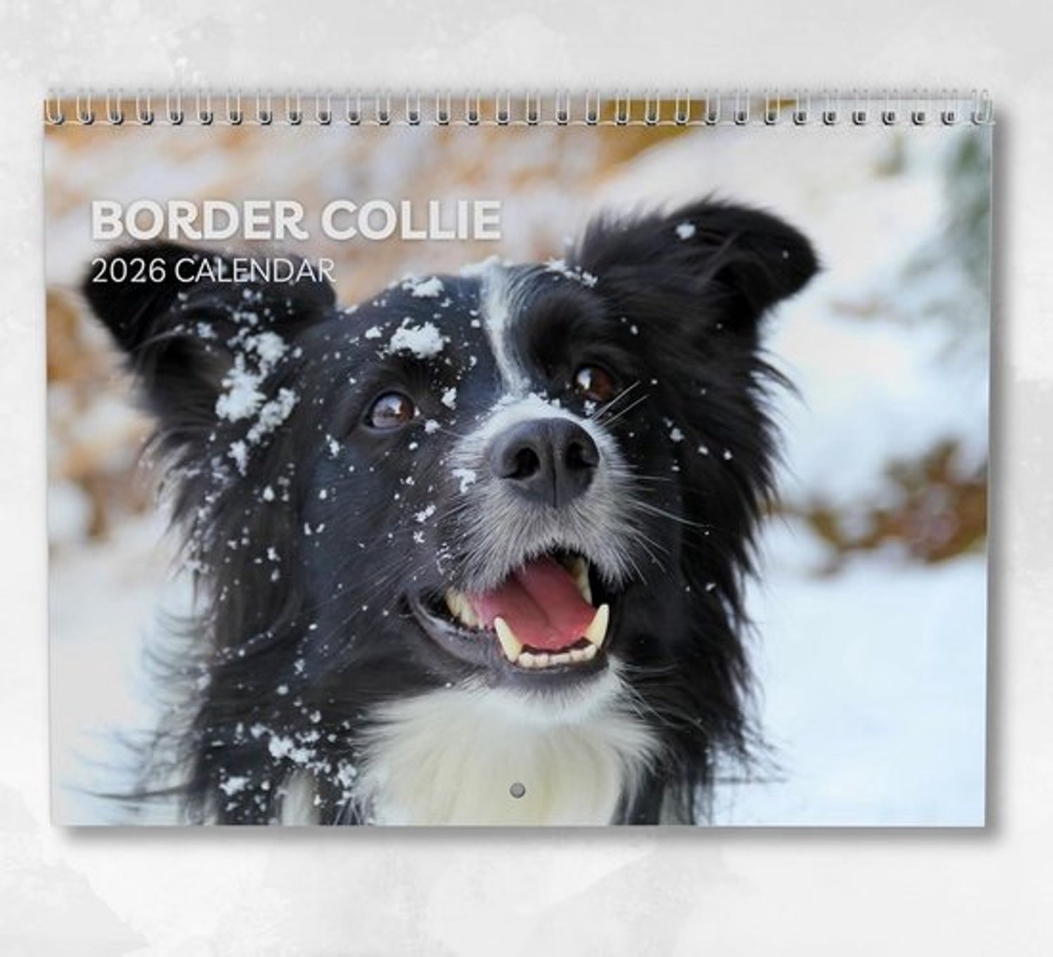 Border Collie kalender - Hondenagenda 2026 - Maandelijkse planning - Inclusief feestdagen - A4 formaat - Veelkleurig