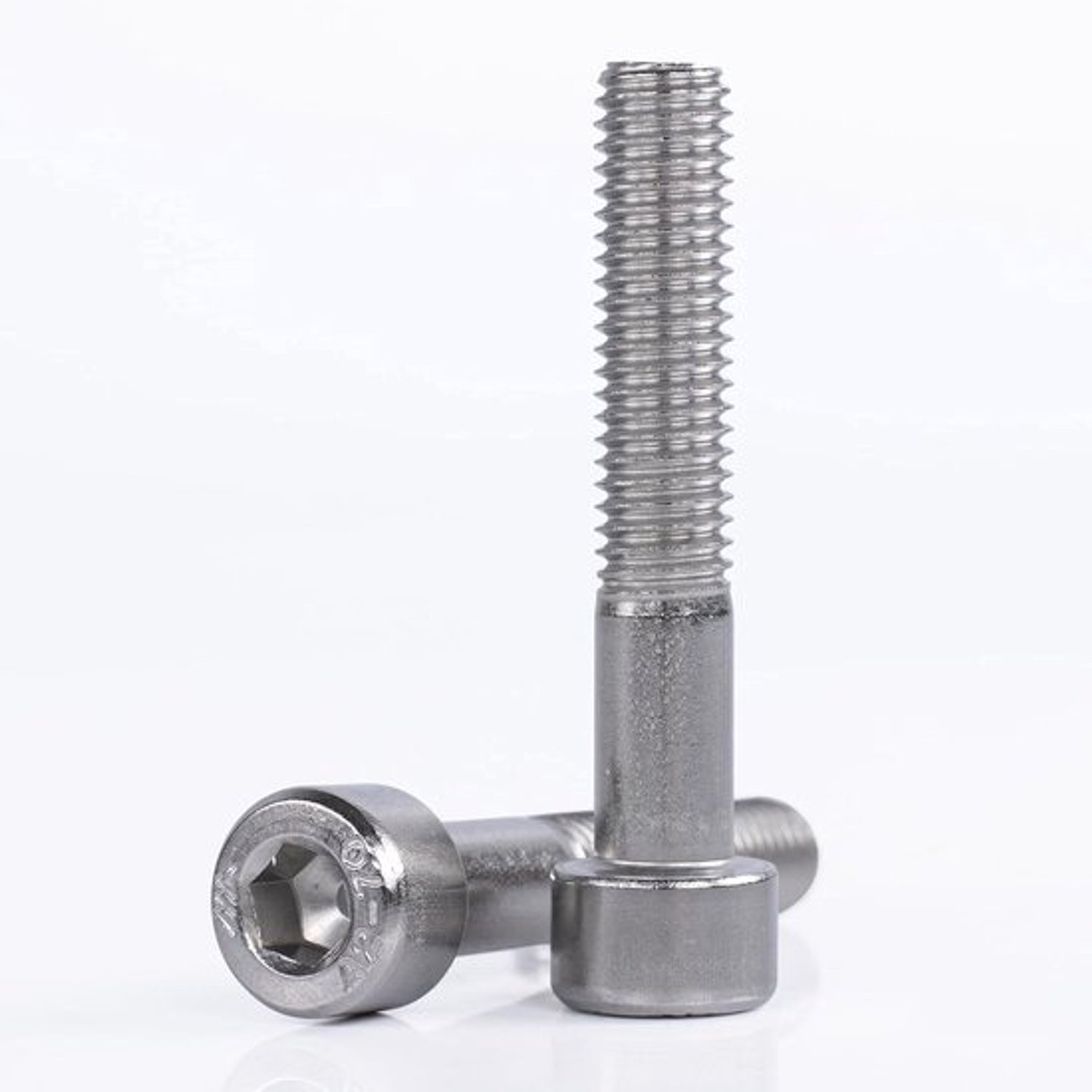 Cilinderschroeven Roestvrij Staal - Binnenzeskant Schroeven - Machinebouw Montage - Corrosiebestendig Materiaal - M6 x 100 - Zilver
