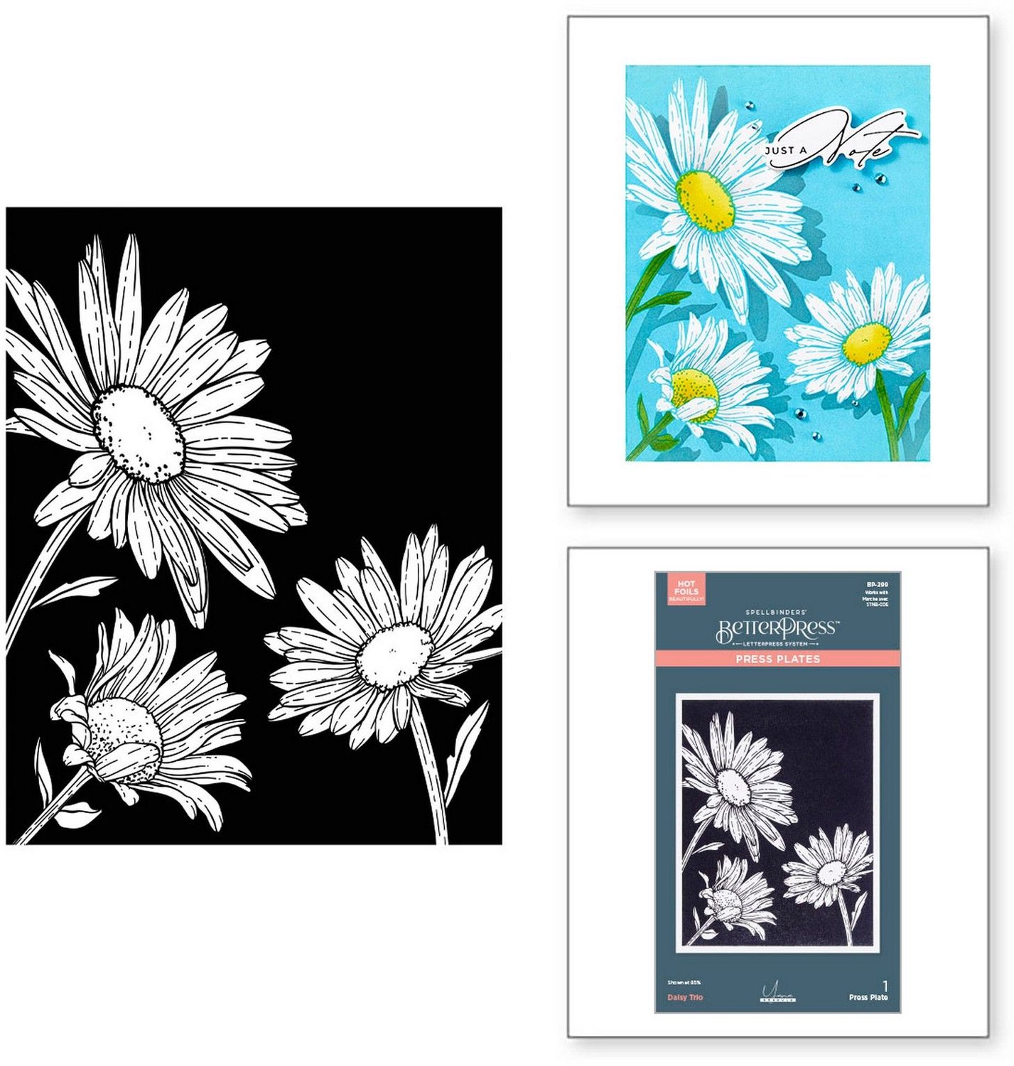 Spellbinders BetterPress Plate - Daisy Trio - 11,1 x 14,3 cm